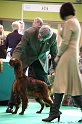 Crufts2011 108